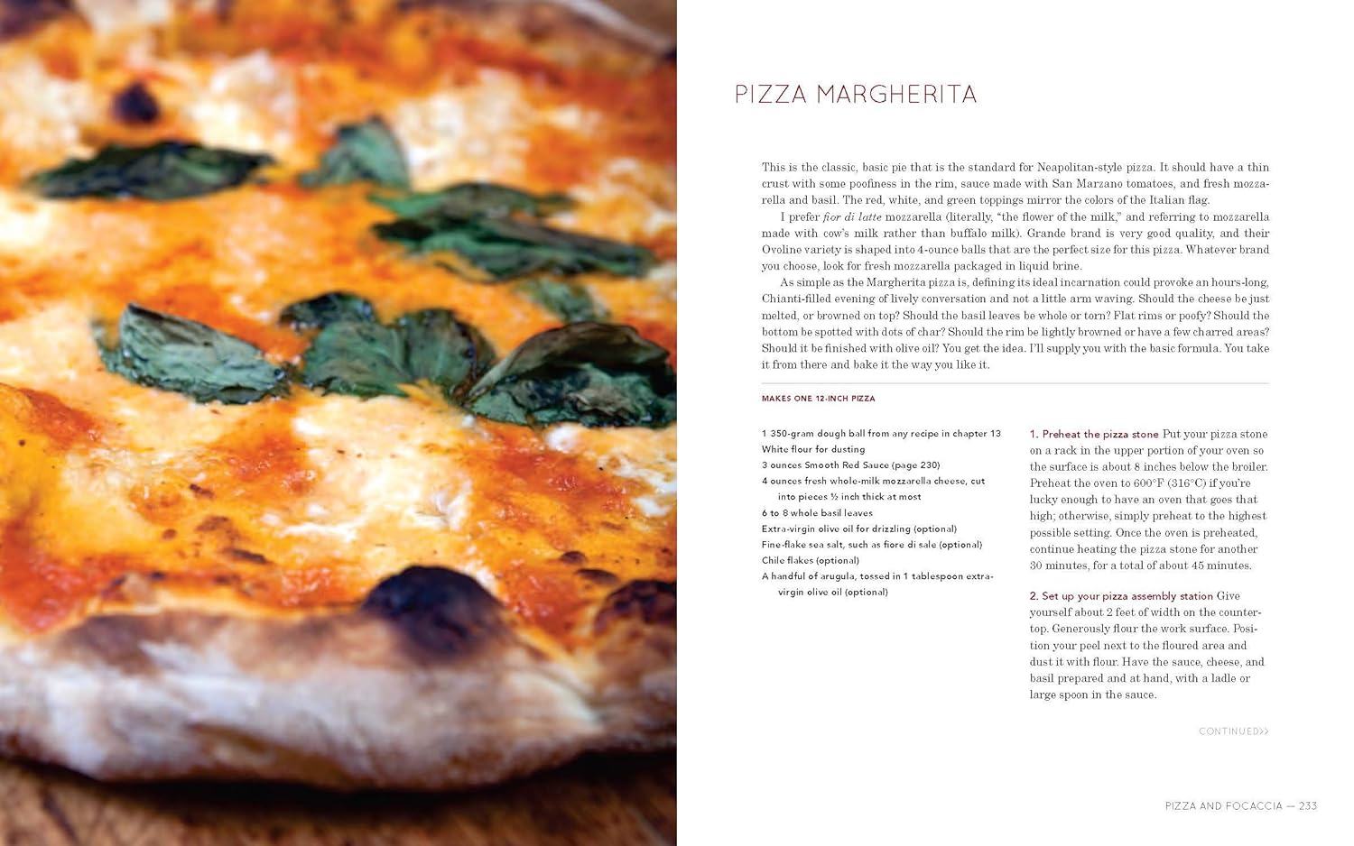 Flour Water Salt Yeast: The Fundamentals of Artisan Bread and Pizza [A Cookbook]     Hardcover – September 18, 2012